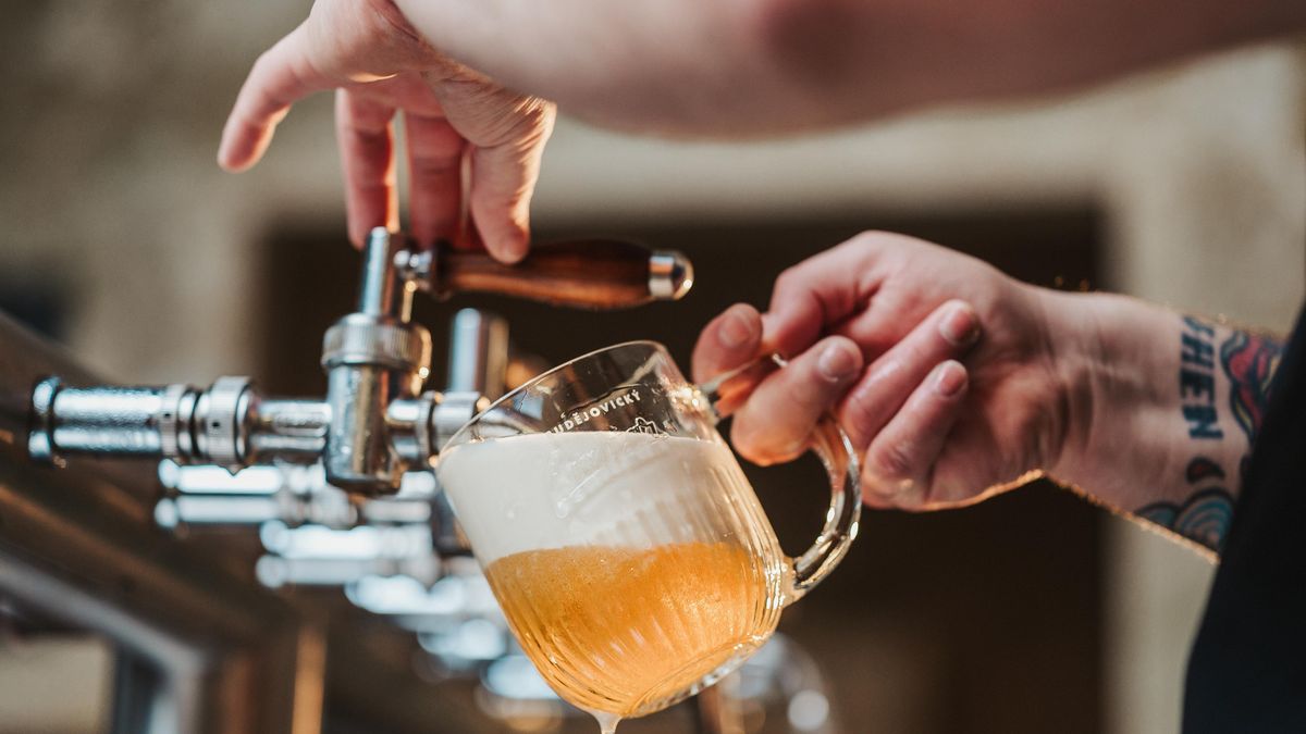 Pivovar Budějovický Budvar loni zvýšil zisk o 17,6 procenta